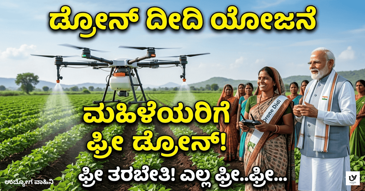 Drone Didi